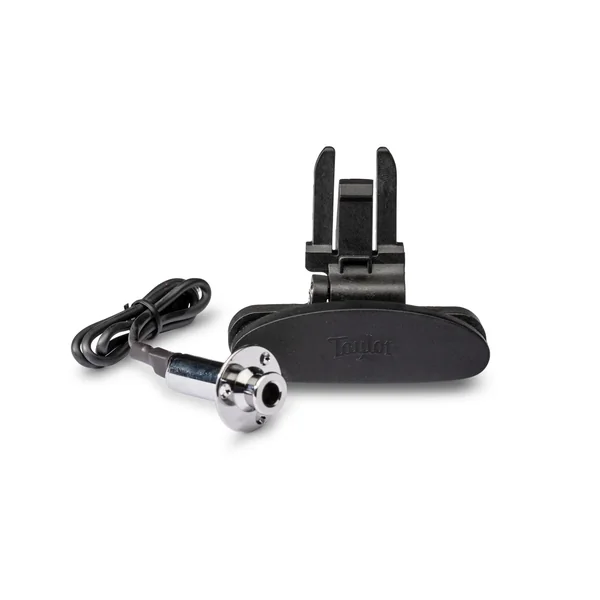 Taylor ES Go Pickup GS Mini