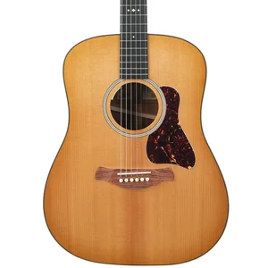 Taylor Gold Label 510e