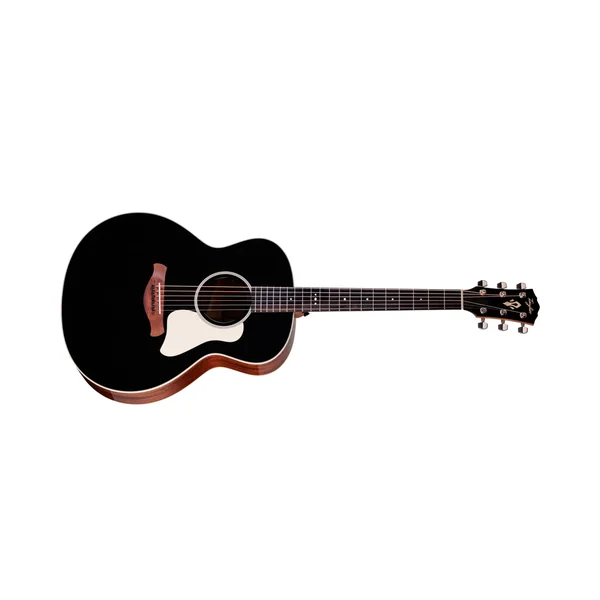 Taylor Gold Label 514e Blacktop