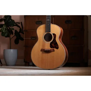 Taylor Gold Label 514e