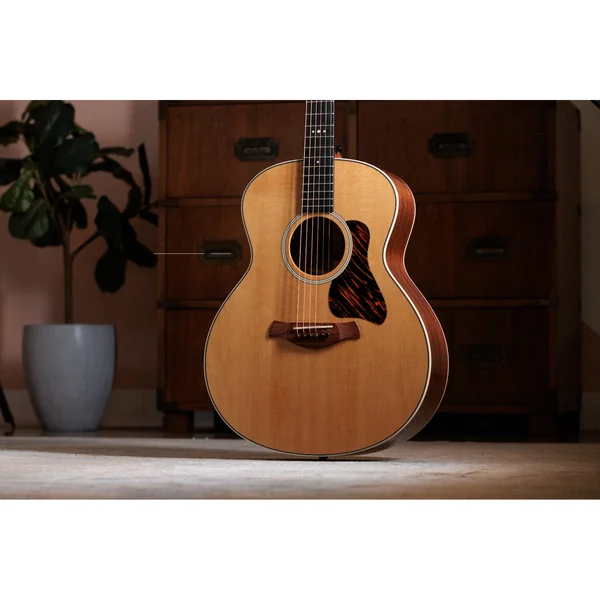 Taylor Gold Label 514e
