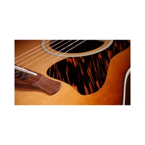 Taylor Gold Label 517e SB Firestripe