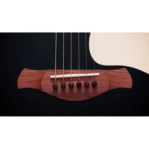 Taylor Gold Label 714e Blacktop