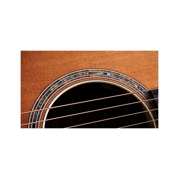 Taylor Gold Label 810e