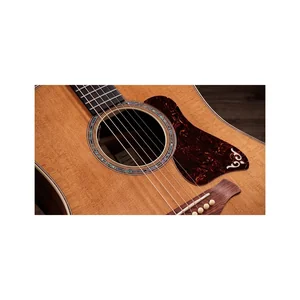 Taylor Gold Label 810e