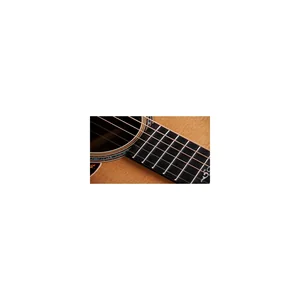 Taylor Gold Label 814e