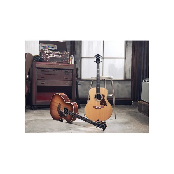 Taylor Gold Label 814e