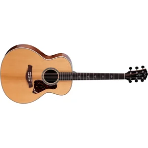 Taylor Gold Label 814e