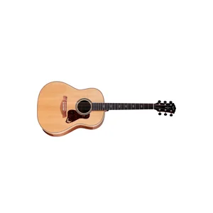Taylor Gold Label 817e