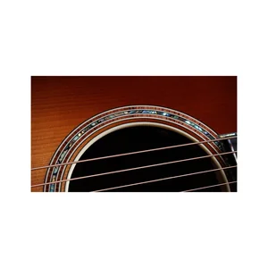 Taylor Gold Label 914e SB