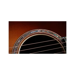 Taylor Gold Label 917e SB