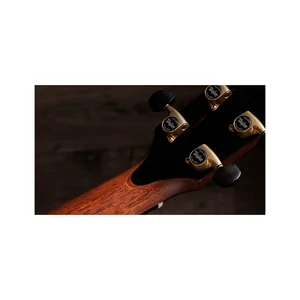 Taylor Gold Label 917e SB
