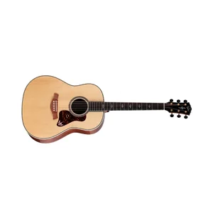 Taylor Gold Label 917e