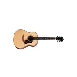 Taylor Gold Label 917e