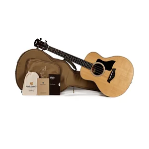 Taylor GS Mini-e Bass