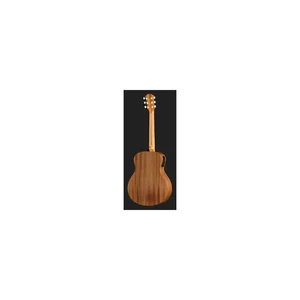 Taylor GS Mini-e Special Edition HB
