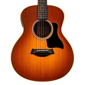 Taylor GS Mini-e Special Edition HB