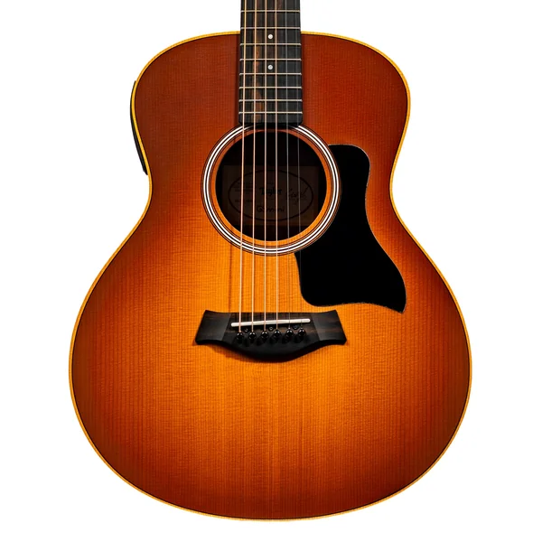 Taylor GS Mini-e Special Edition HB