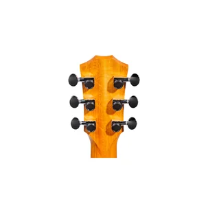 Taylor GS Mini-e Special Edition HB