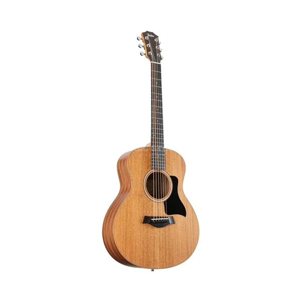 Taylor GS Mini Mahogany