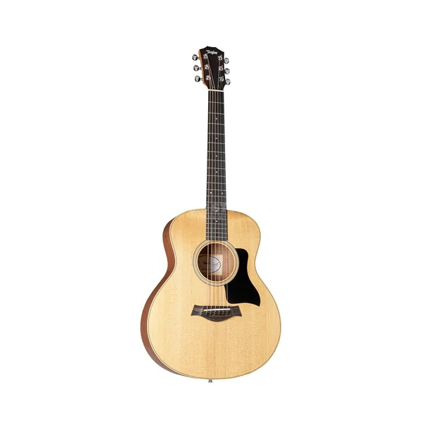 Taylor GS Mini Sapele Torrefied Top