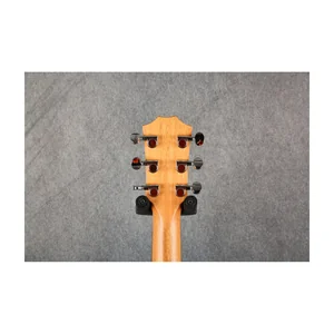 Taylor GS Mini Sapele Torrefied Top