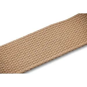 Taylor GS Mini Strap Tan