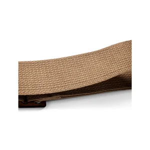 Taylor GS Mini Strap Tan