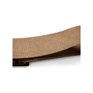 Taylor GS Mini Strap Tan