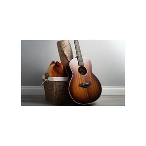 Taylor GT K21e