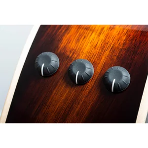 Taylor GT K21e