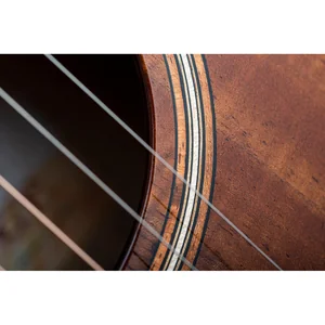 Taylor GT K21e