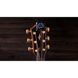 Taylor K9 Digital Tuner