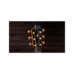 Taylor K9 Digital Tuner