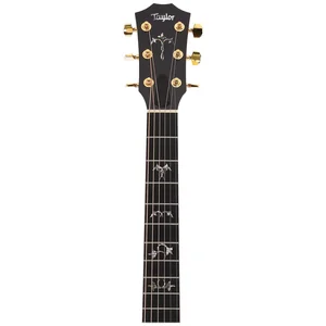 Taylor Legacy 914ce
