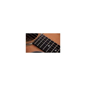 Taylor Legacy Edition 514ce