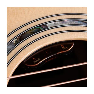 Taylor Legacy Edition 810e