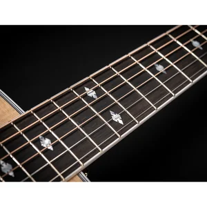 Taylor Legacy Edition 815e