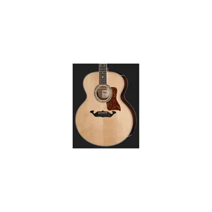 Taylor Legacy Edition 855e