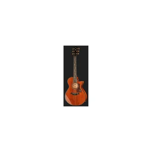 Taylor PS12ce Honduran Rosewood