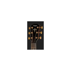 Taylor PS12ce Honduran Rosewood