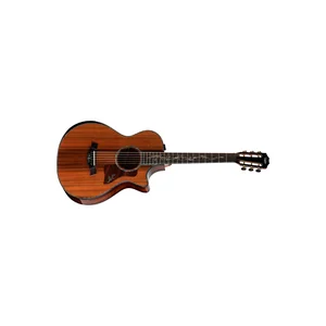 Taylor PS12ce Honduran Rosewood