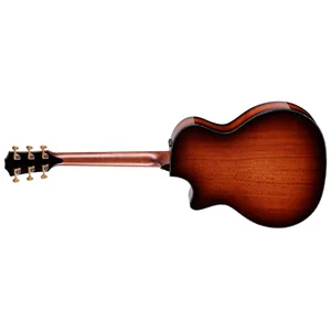 Taylor PS14ce Figured Urban Ironback