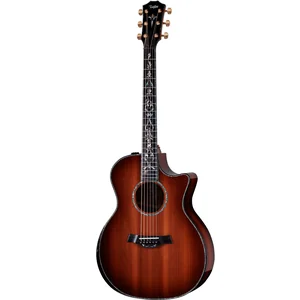 Taylor PS14ce Figured Urban Ironback