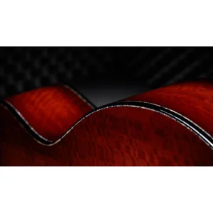 Taylor PS14ce Figured Urban Ironback