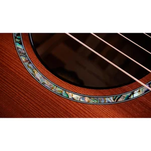 Taylor PS14ce Figured Urban Ironback