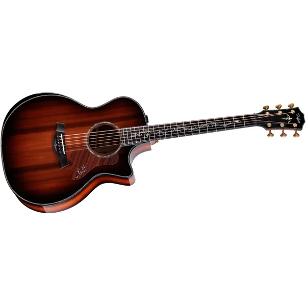 Taylor PS14ce Figured Urban Ironback
