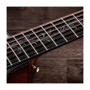 Taylor PS54ce