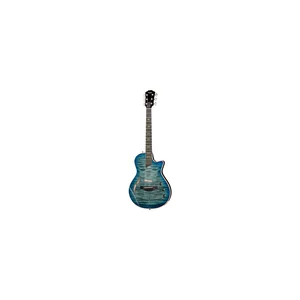 Taylor T5z Pro HB