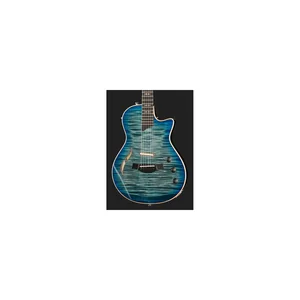 Taylor T5z Pro HB